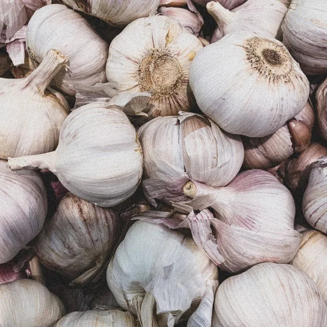 Knoblauch