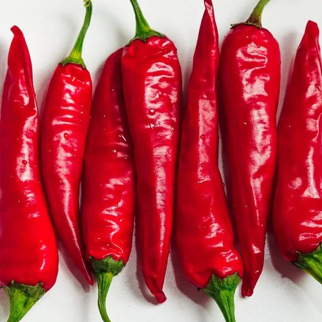 Echte Chilis