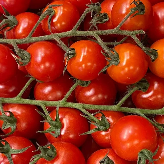 Sonnengereifte Tomaten